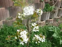 k-P1080637.webp