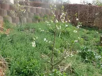 k-P1080644.webp