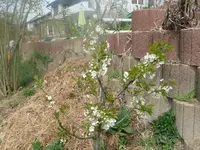 k-P1080647.webp