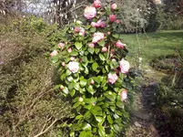 CAM00131.webp