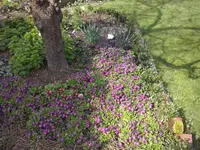 CAM00127.webp