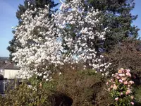 CAM00149.webp