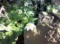 CAM00157.webp