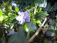 CAM00156.webp