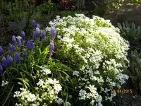 IMG_4286.webp