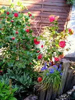 IMG_4292.webp