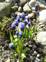 DSCN7483.webp