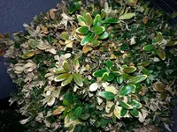 20150417_174928.webp
