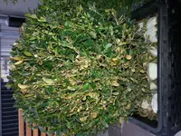 20150417_174837.webp