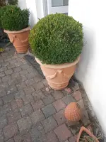 DSCN1930.webp