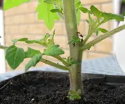IMG_0121-800.webp