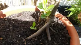 20150418_121006.webp