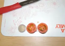 DSCN5105.2.webp