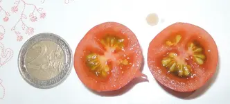 DSCN5106.2.webp