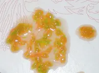 DSCN5119.2.webp