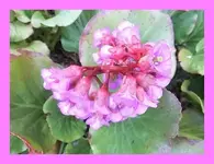 020.webp