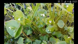 Screenshot_2015-04-18-19-21-28.webp