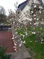 2015-04-18 14.23.13.webp