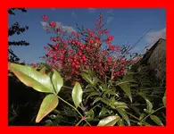 015.webp