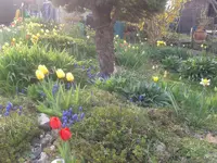 2015-04-17 18.03.35.webp