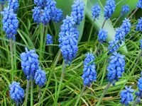 CIMG0105.webp
