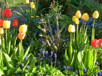 CIMG0109.webp