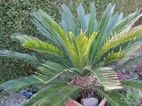 K1600_IMG_4226.webp