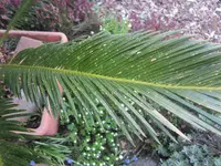 K1600_IMG_4227.webp