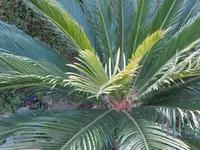 K1600_IMG_4228.webp