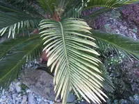 K1600_IMG_4229.webp