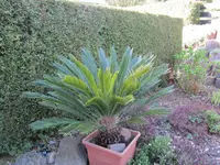 K1600_IMG_4230.webp