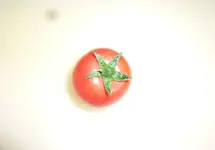 23.webp