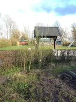 weide sichtschutz.webp