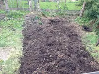 kürbisbeet.webp