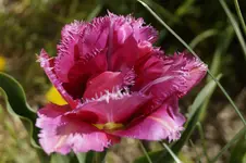 _DSC7976.webp