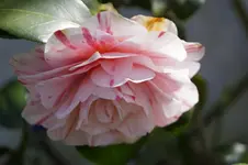 _DSC7972.webp