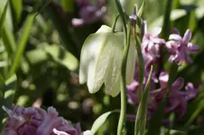 _DSC7983.webp