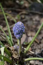 _DSC8004.webp