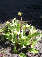100_5926.webp