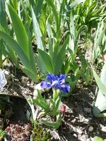 P1330830.webp