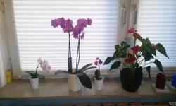 20150419_191147.webp