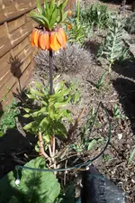 SAM_0528.webp