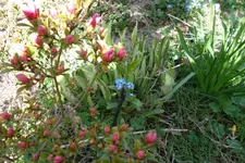 SAM_0537.webp