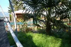 SAM_0540.webp