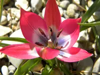 DSCN7575.webp