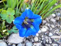 DSCN7583.webp