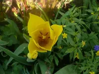 k-P1080658.webp