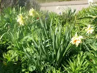 k-P1080659.webp