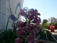 k-P1080663.webp