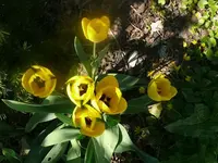 k-P1080675.webp